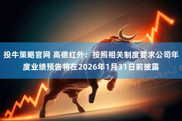 投牛策略官网 高德红外：按照相关制度要求公司年度业绩预告将在2026年1月31日前披露